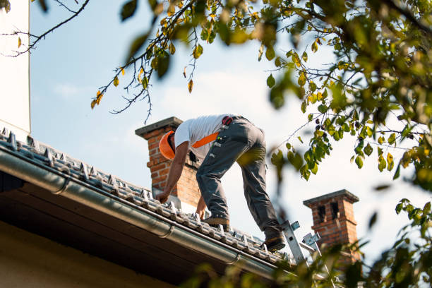 Best Metal Roofing Contractor  in Newburg, WI