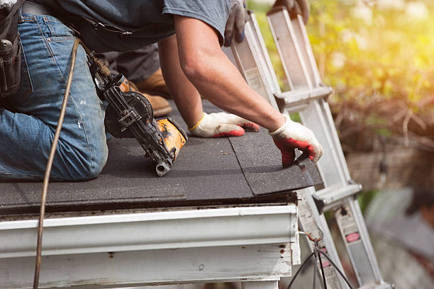 Best Roof Gutter Cleaning  in Newburg, WI